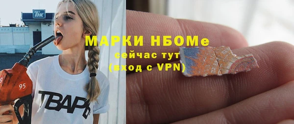 СК Зеленокумск